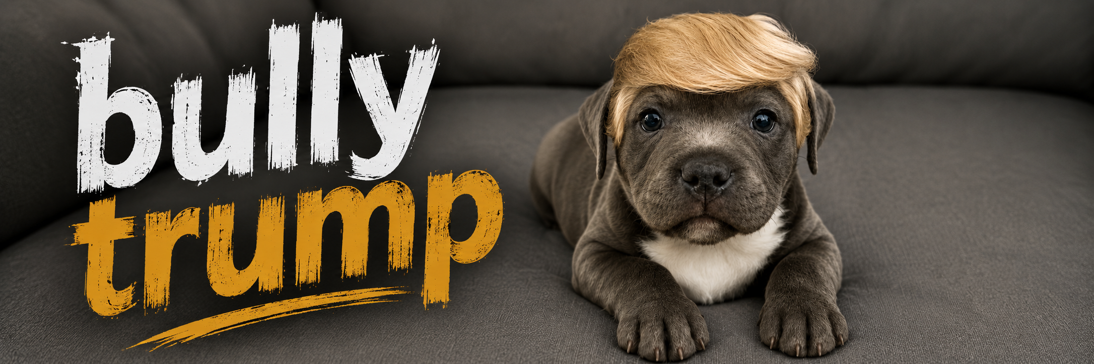 bully trump Banner